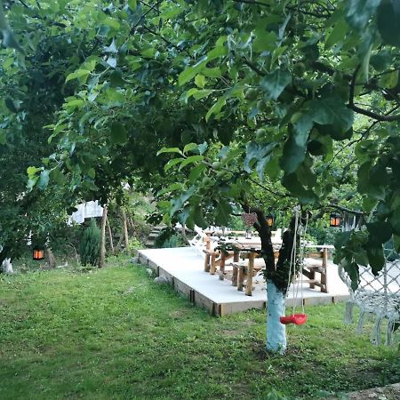 Casa Noastra Hotel Orsova Ngoại thất bức ảnh